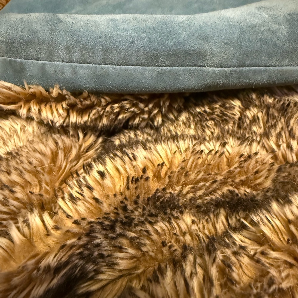Coach Blue Suede Shoulder Bag - Picture 3 of 11